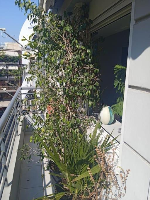 Georgia'S House Apartment Athens Ngoại thất bức ảnh